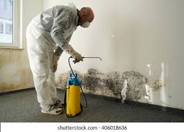 Why You Should Choose Our Mold Remediation Services in La Fayette, AL